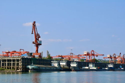 奮戰(zhàn)紅五月，瀘州水運吹響發(fā)展進(jìn)軍號 碼頭建設(shè)與管理并舉，激活長江上游黃金水道